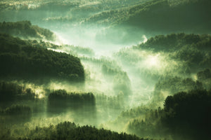 3-piece-aluminium-print-over-the-woods