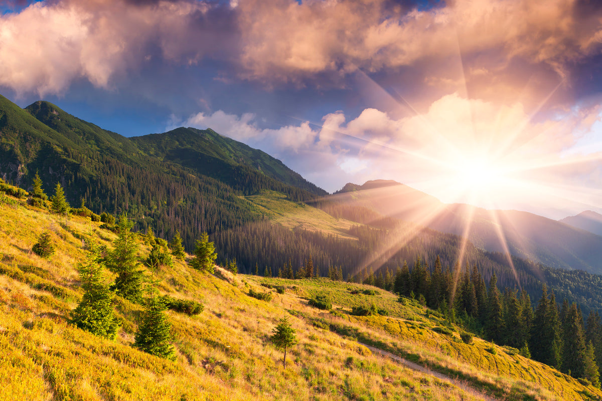 aluminium-print-beginning-of-autumn