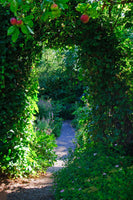 framedposter-print-in-paradise-garden