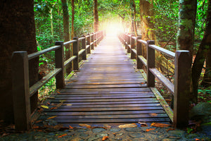 3-piece-canvas-print-the-bridge-in-the-forest