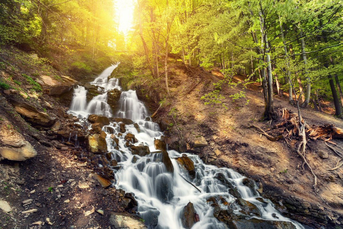 framedposter-print-natural-beauty