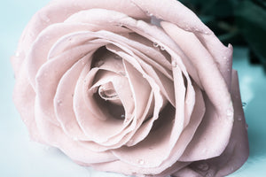 3-piece-aluminium-print-pastel-rose