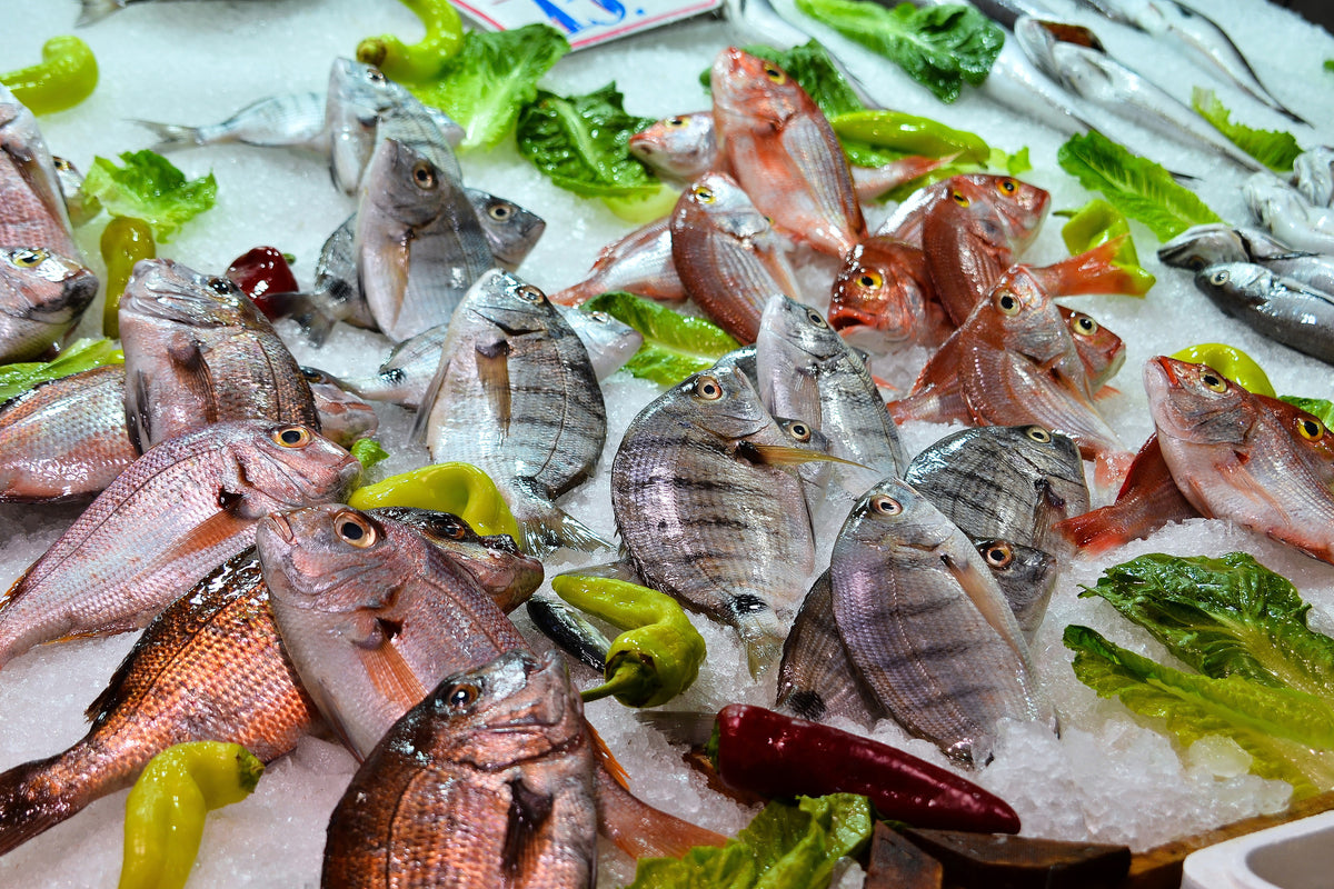 acrylic-print-raw-fish