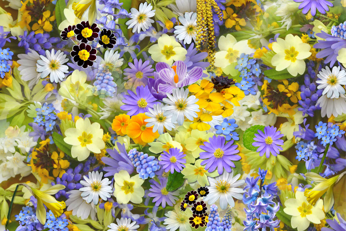 poster-print-fresh-spring-flowers