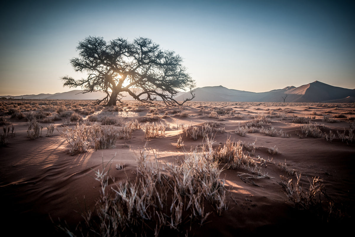 poster-print-longing-africa