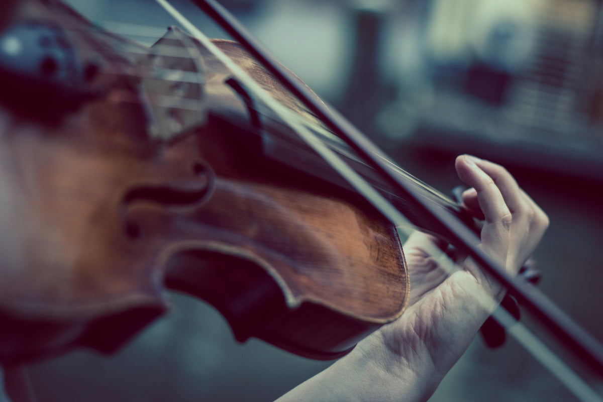 3-piece-canvas-print-violin