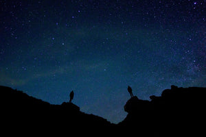 3-piece-aluminium-print-the-stargazers