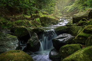 3-piece-canvas-print-calming-view