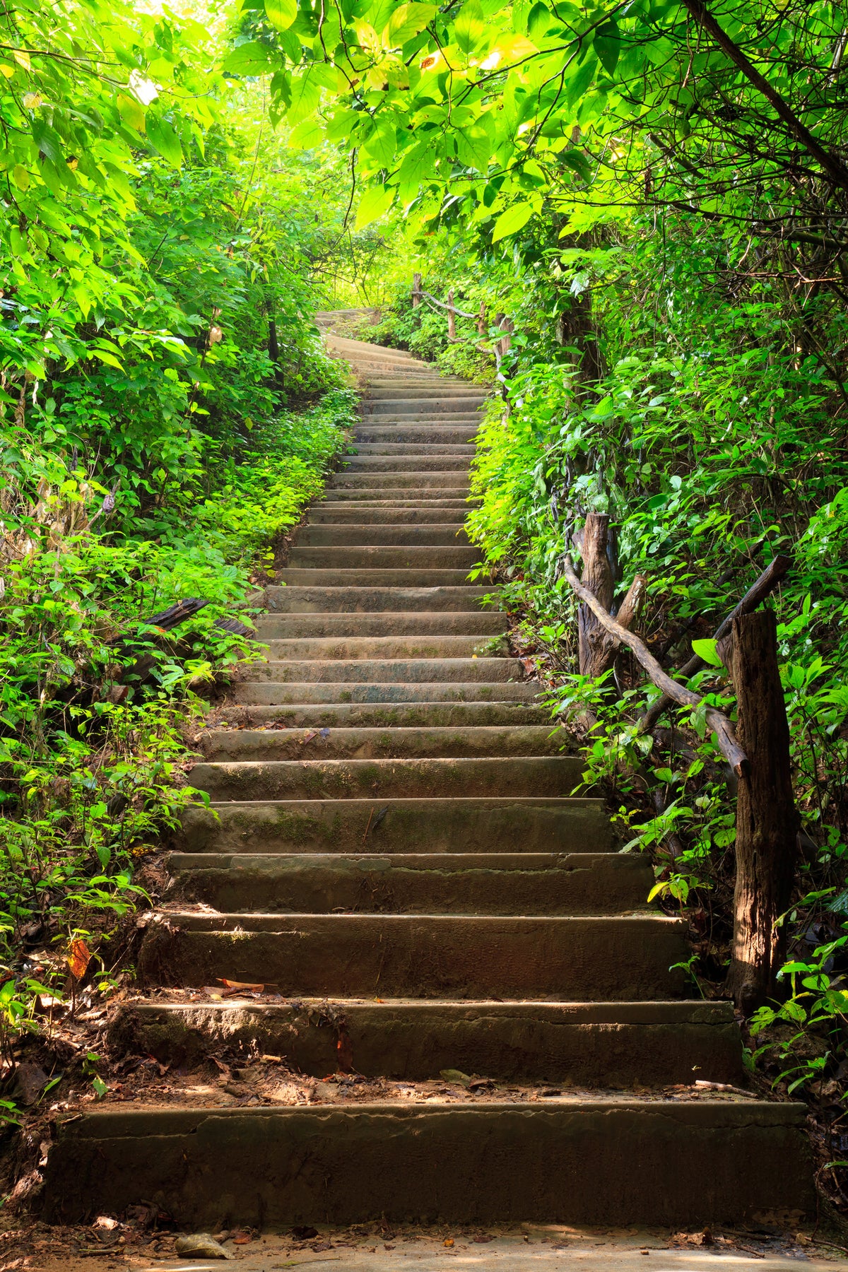 framedcanvas-print-wood-stairs