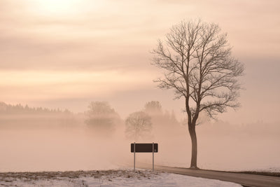 poster-print-mystic-mood-in-nature