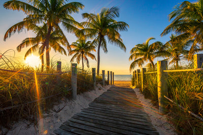 poster-print-the-beach-house
