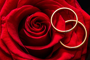 canvas-print-wedding-rings-on-the-rose