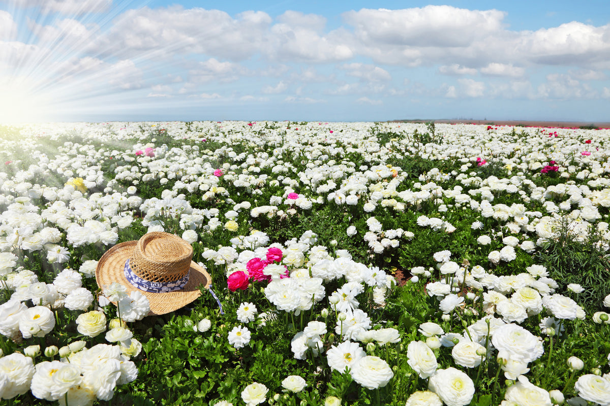 3-piece-acrylic-print-spring-flower-meadow