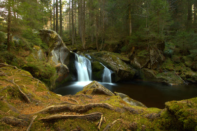 poster-print-small-waterfall-in-the-forest