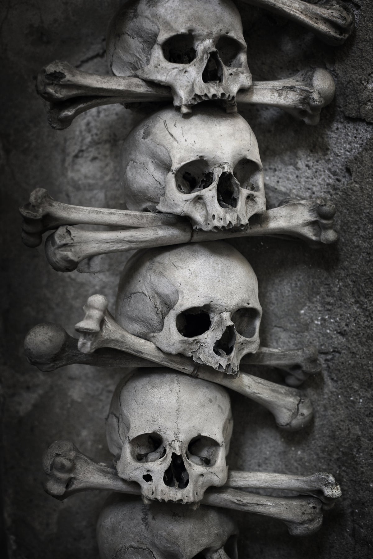 framedposter-print-skulls
