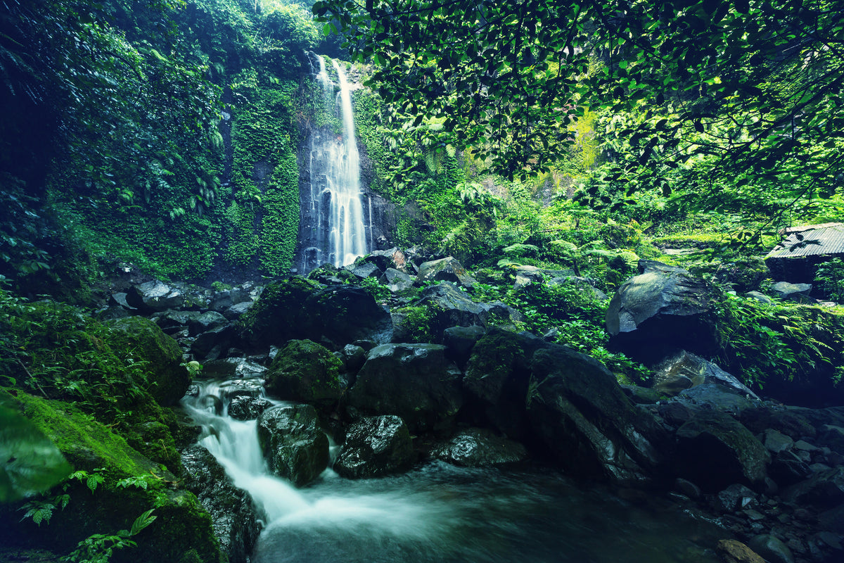 framedposter-print-nature