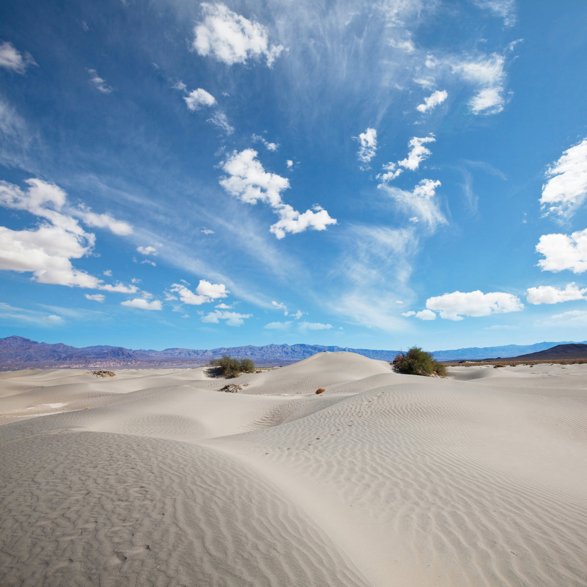 acrylic-print-desert-landscape