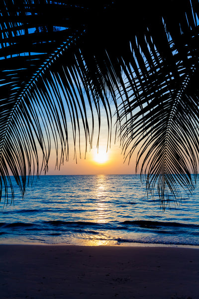 poster-print-through-the-palm