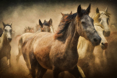 poster-print-painting-wild-horses