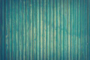 framedcanvas-print-strip-of-nature