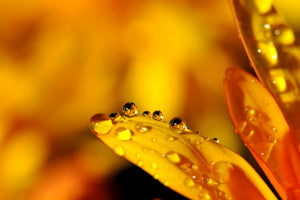 acrylic-print-drops-close-up