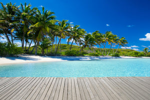 3-piece-acrylic-print-beach-palms