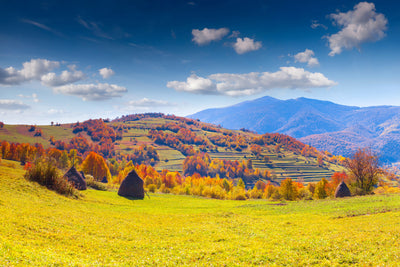 poster-print-autumnal-mountain-landscape