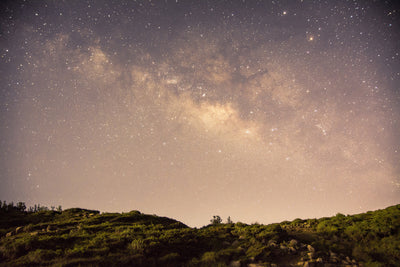 poster-print-a-sky-full-of-stars