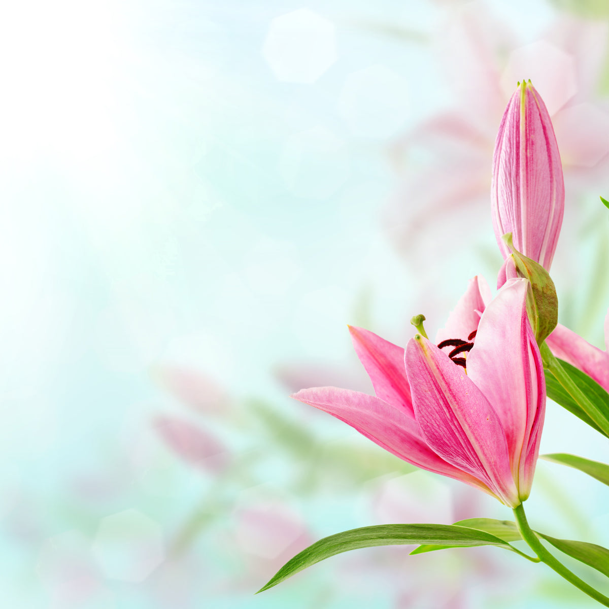 9-piece-canvas-print-romantic-lilies