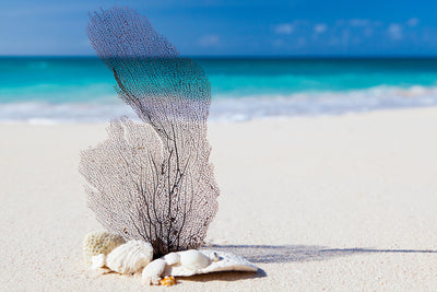 poster-print-beach-art