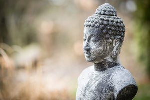 aluminium-print-buddha-made-of-stone