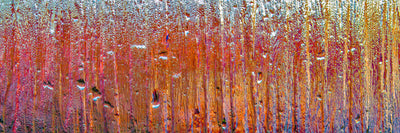 panoramic-poster-print-behind-glass-panorama