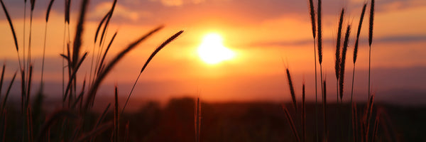 panoramic-aluminium-print-adorable-sunset-panorama
