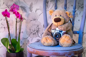 framedcanvas-print-camera-teddy-bear