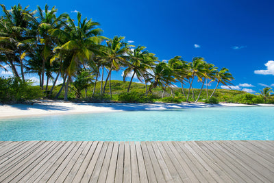poster-print-beach-palms