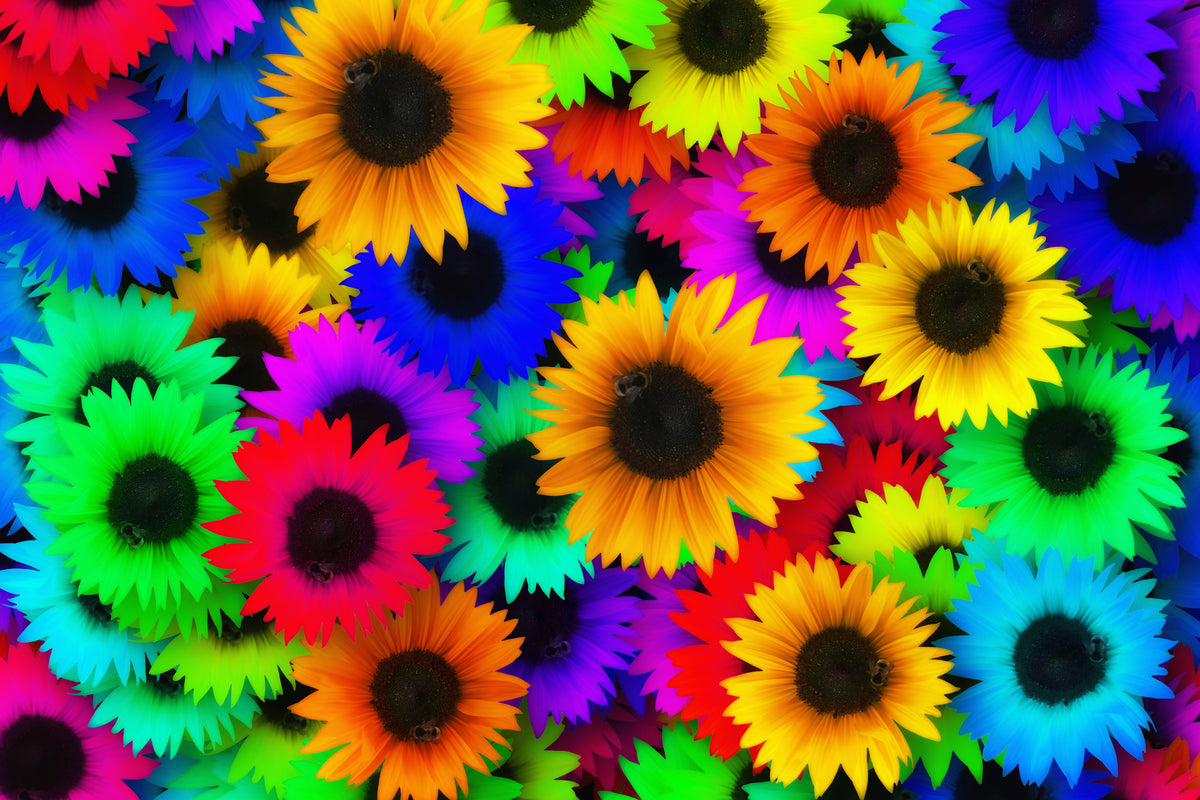 canvas-print-colorful-sunflowers