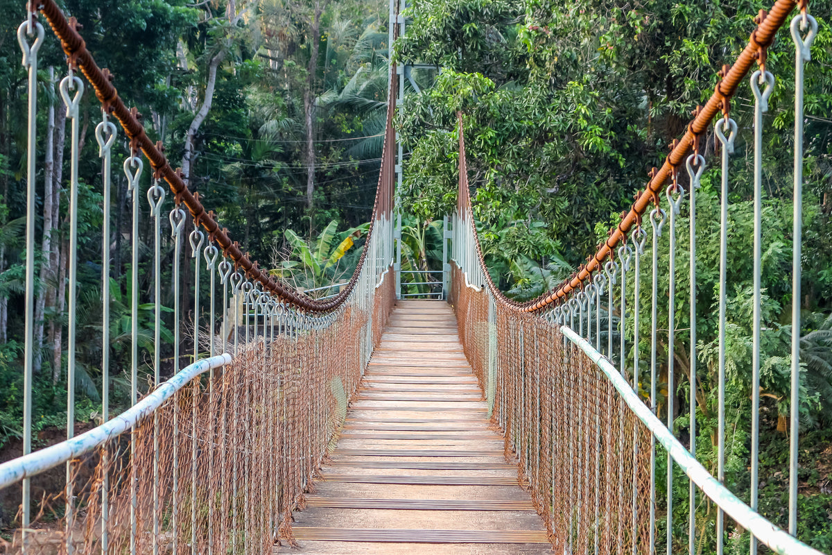 canvas-print-bridge-for-the-brave