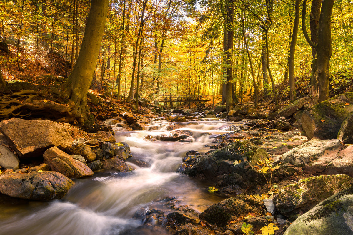 canvas-print-real-nature-beauty