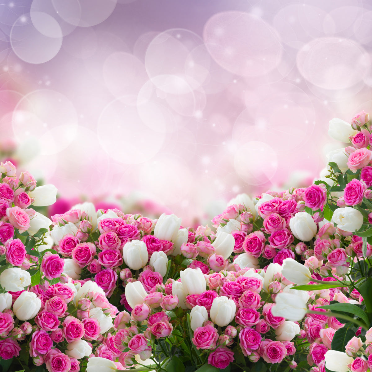 4-piece-aluminium-print-fable-roses