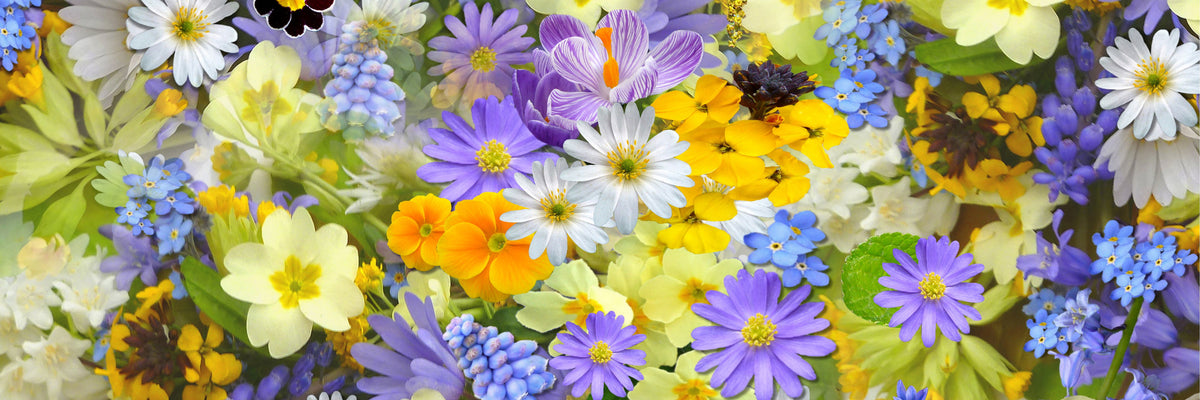 panoramic-3-piece-aluminium-print-fresh-spring-flowers-panorama