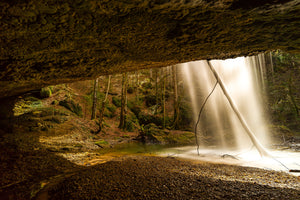 poster-print-nature-shower