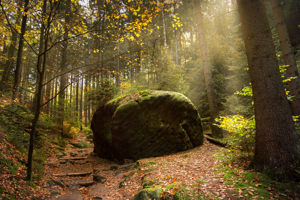 framedcanvas-print-the-rock-in-the-forest