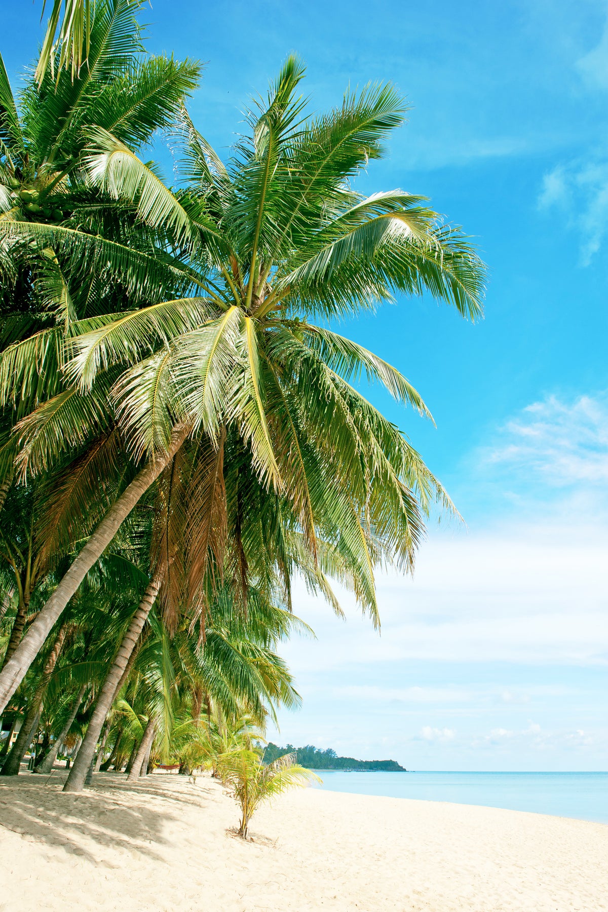 canvas-print-a-island-dream