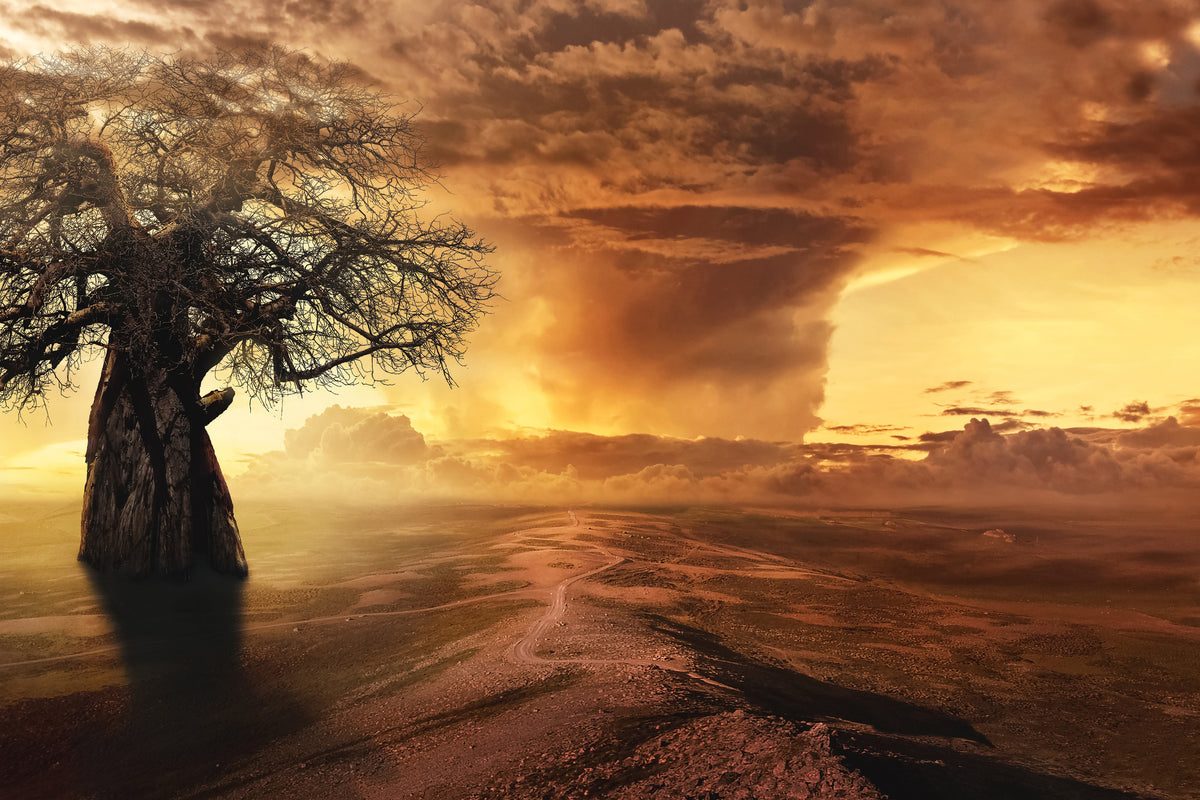 3-piece-aluminium-print-cyclone-in-the-sunset