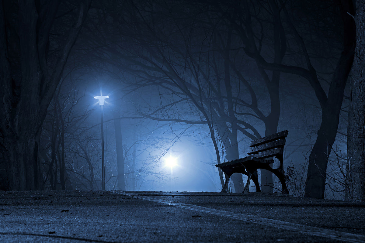 framedposter-print-at-night-in-the-park