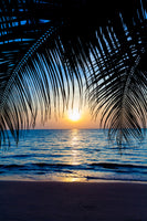 framedposter-print-through-the-palm