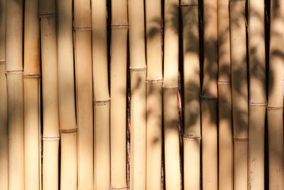poster-print-natural-bamboo