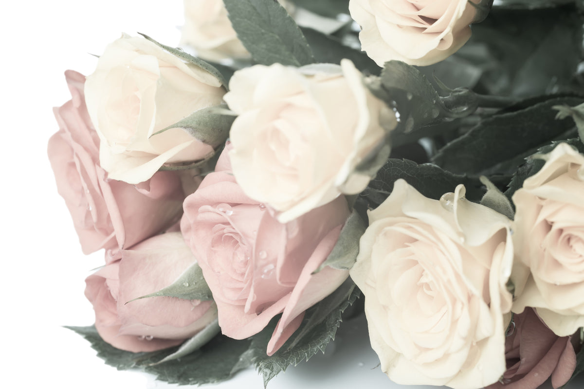 framedposter-print-romantic-rose