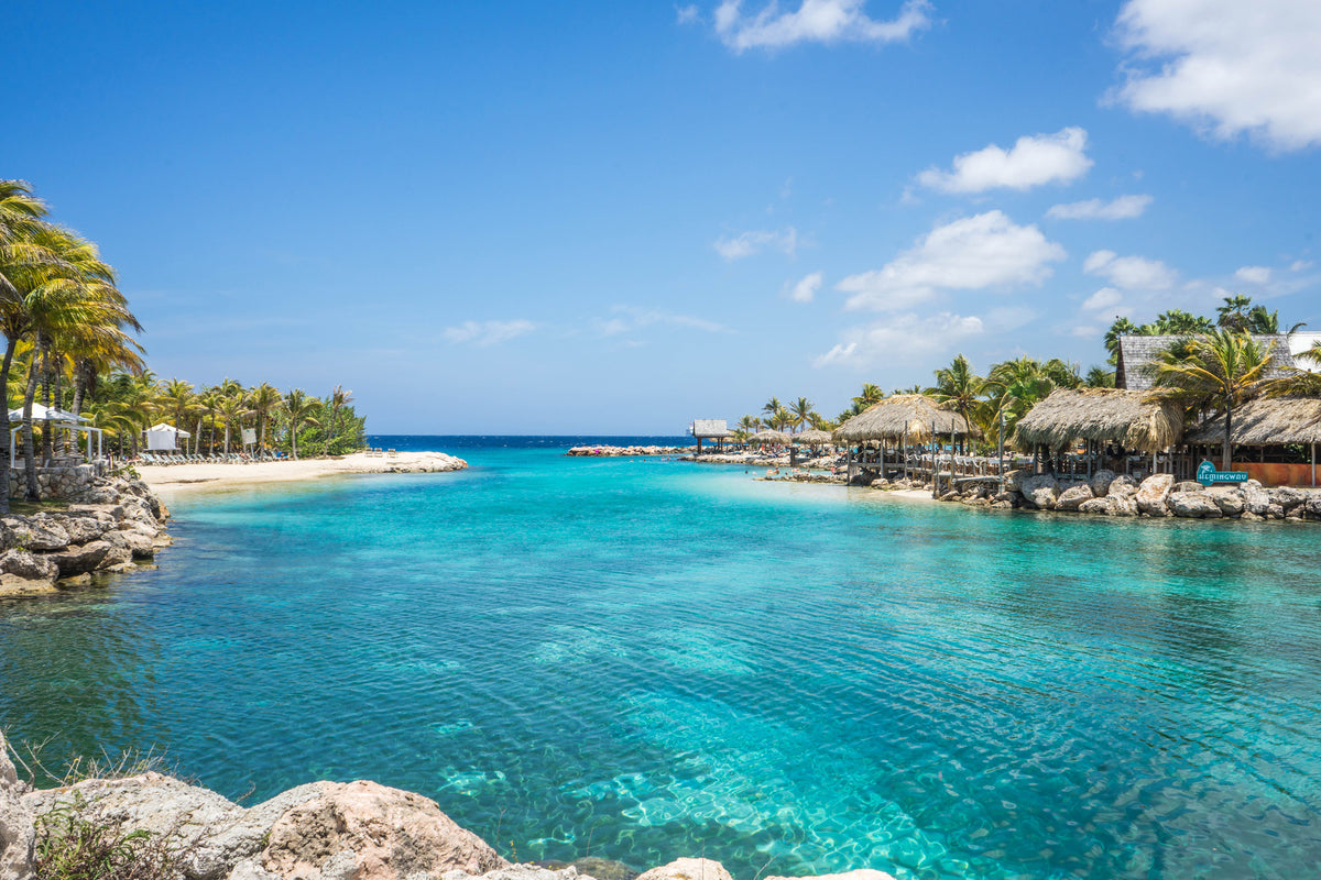 canvas-print-life-in-a-lagoon