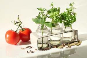 aluminium-print-tomatoes-and-herbs